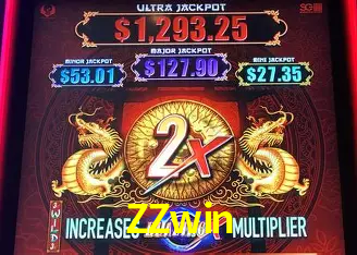 ZZwin Rio de Janeiro - Professional Dealers